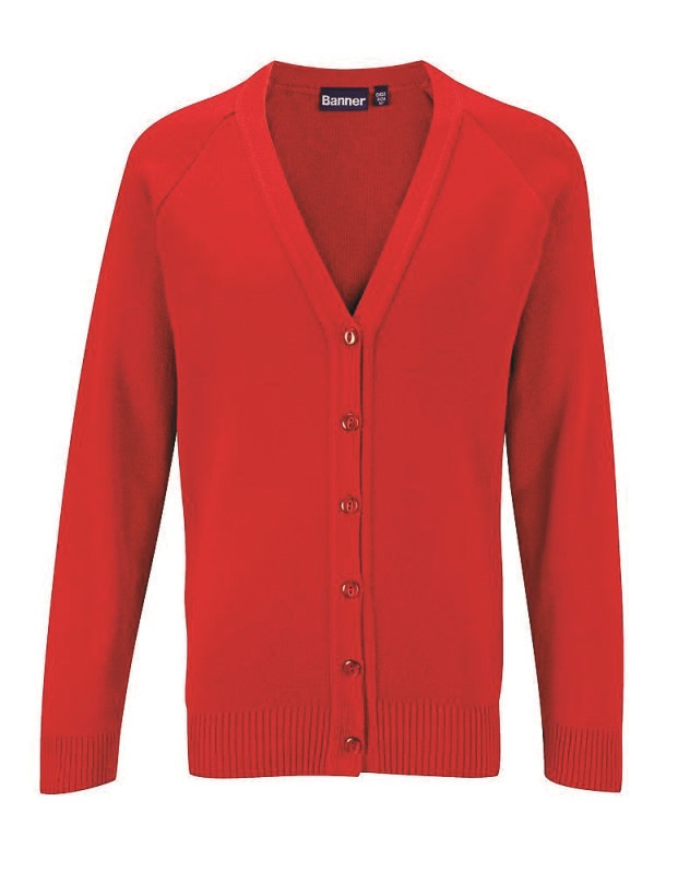 V Neck Cardigan.jpg